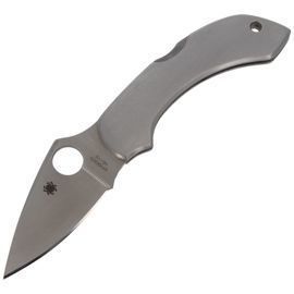 Spyderco Dragonfly Knife Stainless Steel PlainEdge Knife (C28P)