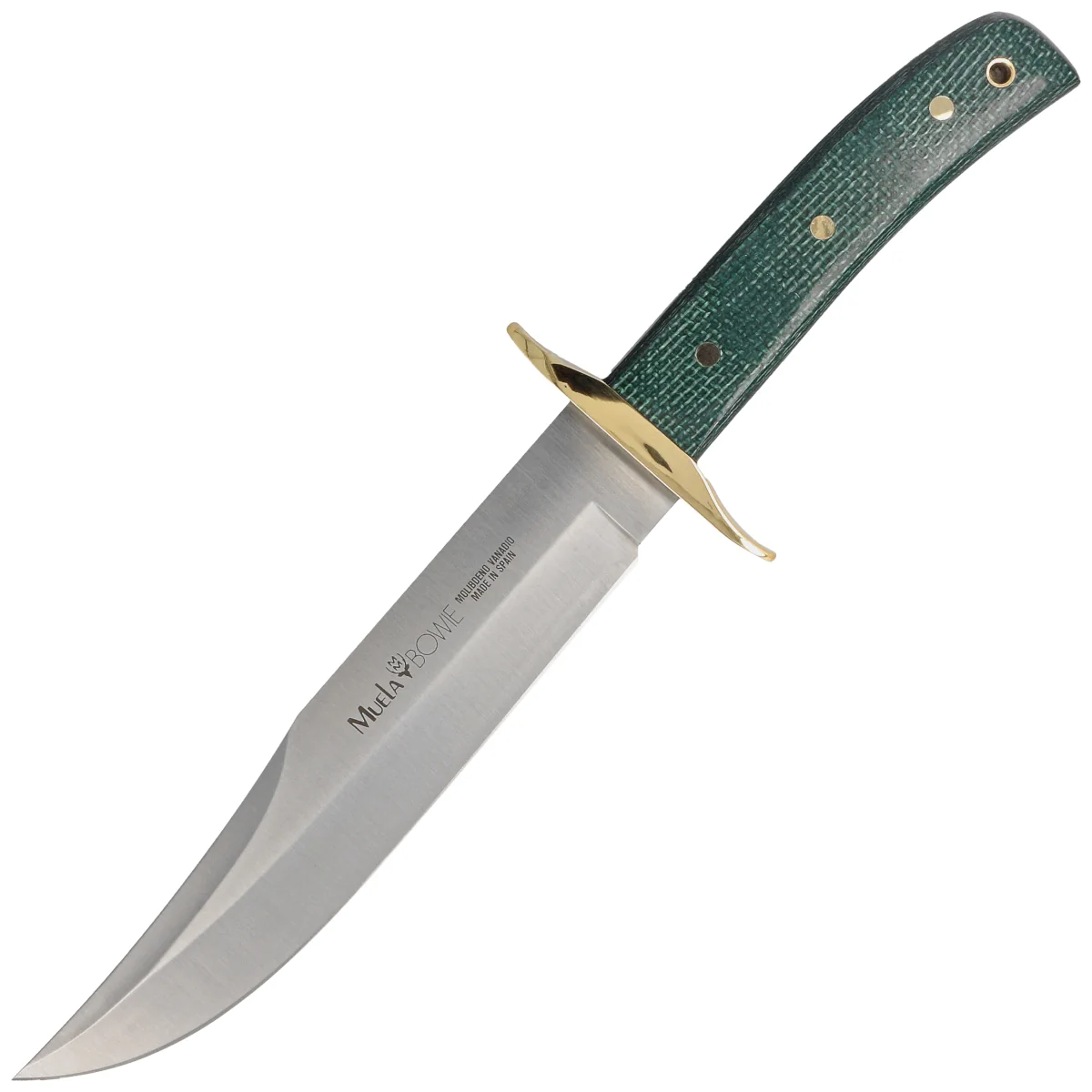 Muela BW-Classic-19G Green Jute Micarta Knife, Satin X50CrMoV15