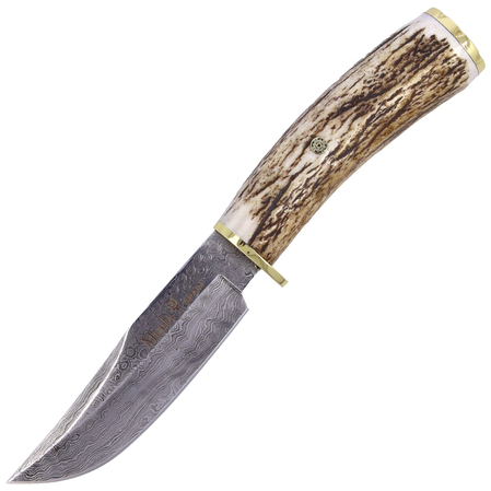 Muela Braco-11DAM Deer Stag Knife, Damascus