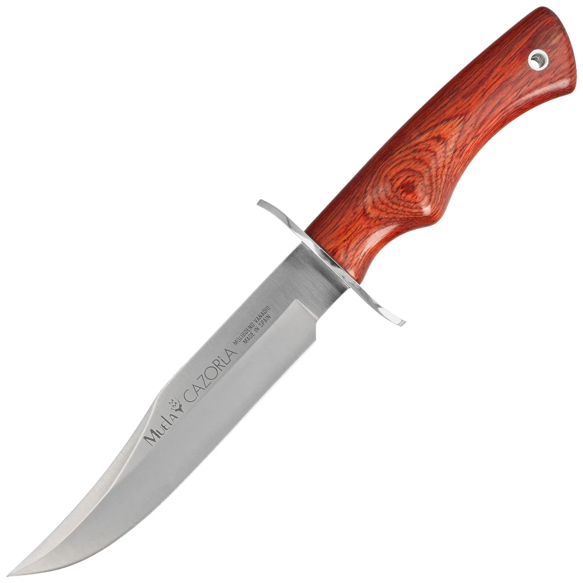 Muela CAZ-16R Pakka Wood Knife, Satin X50CrMoV15