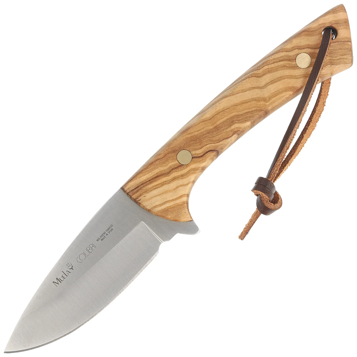 Muela Colibri COL-9.OL Knife Olive Wood, Satin X50CrMoV15