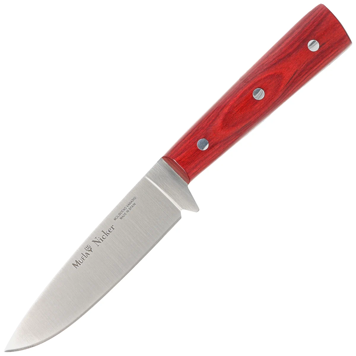 Muela Nicker-11R.E Red Pakka Wood, Satin X50CrMoV15 knife