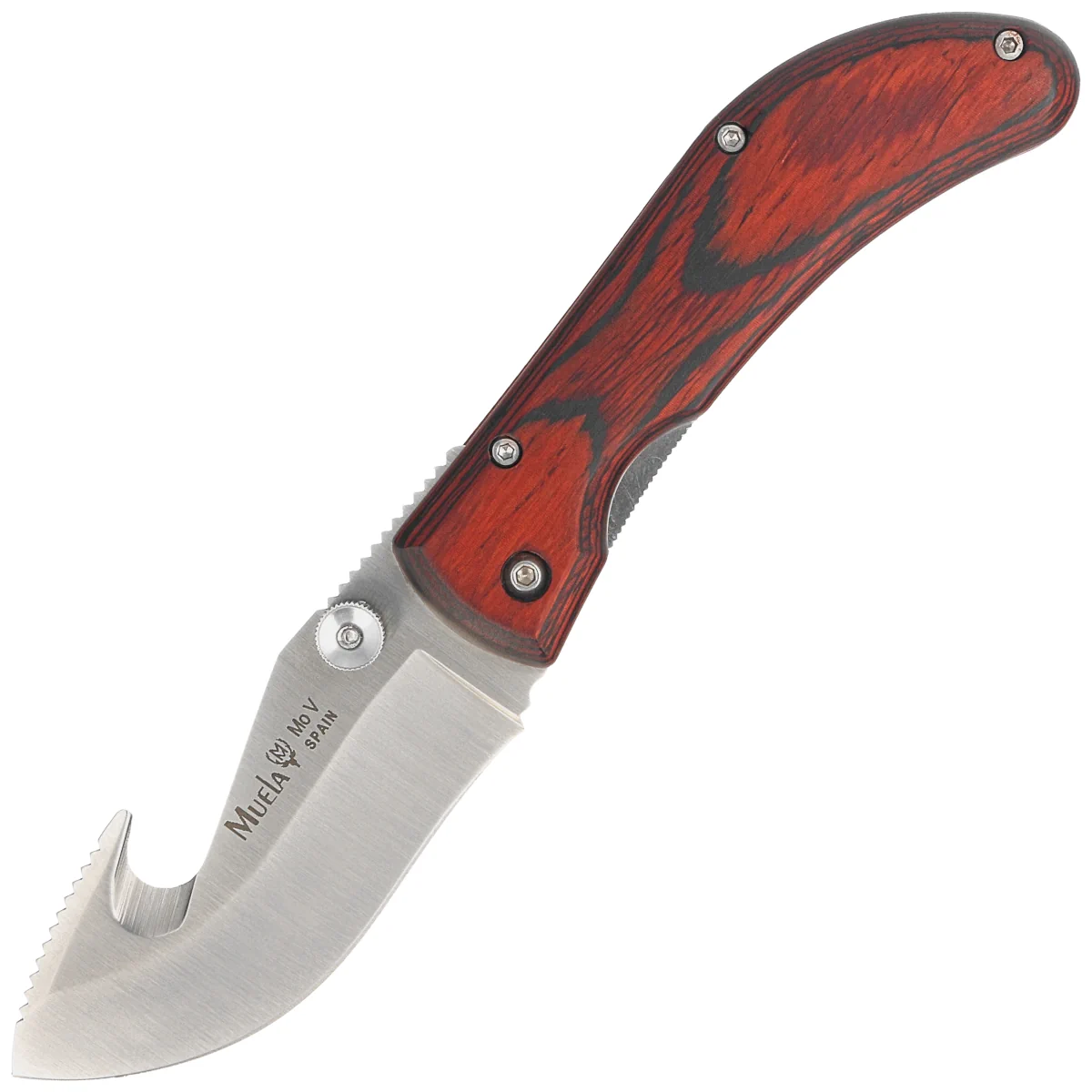 Muela SW-8R Red Pakka Wood, Satin X50CrMoV15 knife