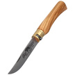 Nóż składany Antonini Old Bear Classical XL Olive Wood, Satin AISI 420 (9307/23_LU)