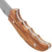 Muela Outdoor-12.OL Knife Olive Wood, Satin X50CrMoV15