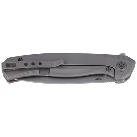 WE Knife Seer LE No 003/420 Gray Titanium, Hand Rubbed Silver CPM 20CV (WE20015-3)