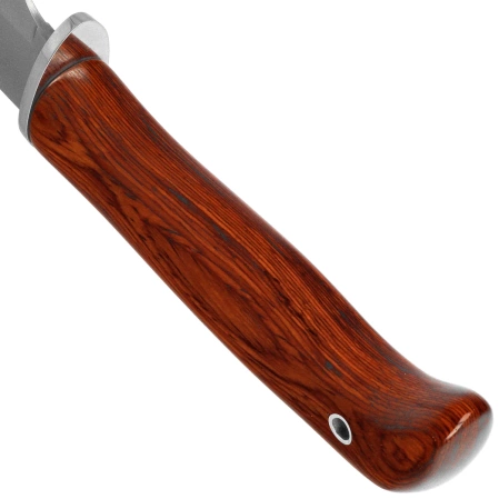 Nóż Muela Piranha-8R Coral Pakka Wood, Satin X50CrMoV15