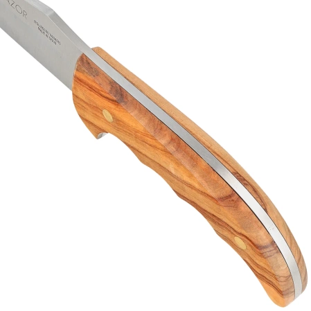 Muela Azor-13OL Olive Wood Knife, Satin X50CrMoV15