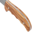 Nóż Muela Outdoor-12.OL Olive Wood, Satin X50CrMoV15