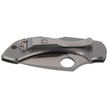 Spyderco Dragonfly Knife Stainless Steel PlainEdge Knife (C28P)