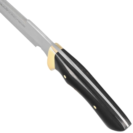Nóż Muela Corzo-22 Beech Wood, Satin X50CrMoV15