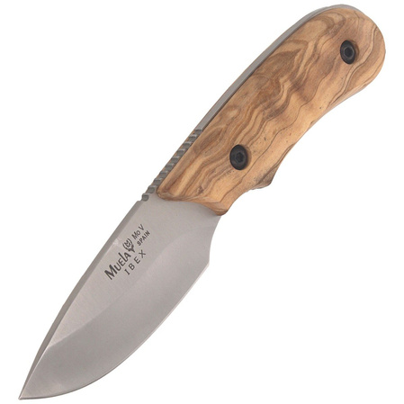Muela Full Tang Olive Wood, Satin X50CrMoV15 (IBEX-8.OL)
