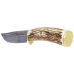 Muela Braco-11DAM Deer Stag Knife, Damascus