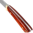 Nóż Muela Colibri COL-9M Pakka Wood, Satin X50CrMoV15