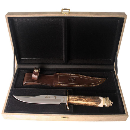Nóż Muela Big Five Deer Stag, Satin 1.4116 Gift Box (LION-16BF)