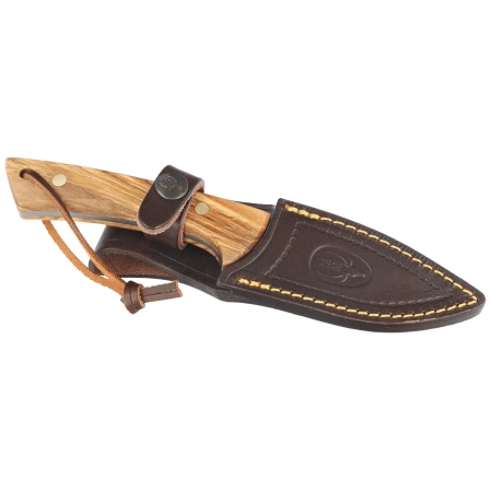 Nóż Muela Colibri COL-9.OL Olive Wood, Satin X50CrMoV15
