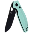 Bestechman Angry Owl Knife Aqua G10, Black PVD D2 by Keanu Alfaro (BMK12B-2)