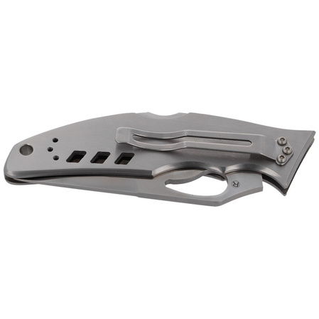 Nóż Spyderco Byrd Flight Stainless, Plain (BY05P)
