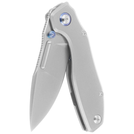 Remette TwoFace Titanium, Fine Grinding Pearlescent M390 (DSTF-A)