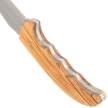 Nóż Muela Azor-13OL Olive Wood, Satin X50CrMoV15