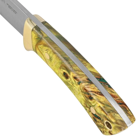Nóż Muela Colibri COL-7.TO Maple Wood, Satin X50CrMoV15, Gift Box