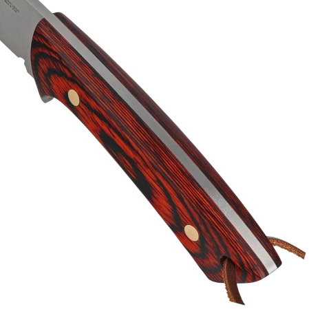 Nóż Muela Colibri COL-9.R Coral Pakka Wood, Satin X50CrMoV15