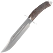 Muela Alcaraz-22 Deer Stag, Satin X50CrMoV15 knife