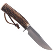 Muela Braco-11A Deer Stag Knife, Satin X50CrMoV15