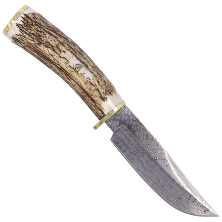 Nóż Muela Braco-11DAM Deer Stag, Damascus