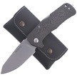 LionSteel TM1 Carbon Fiber, Satin Sleipner by Molletta (TM1 CS)