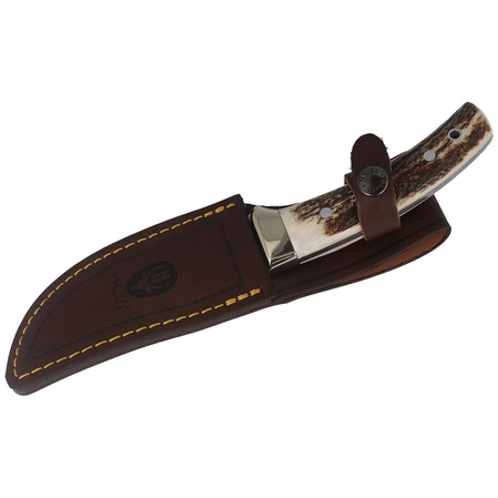 Muela Hunting Full Tang Knife with Deer Stag 115mm (TRACKER-11A)