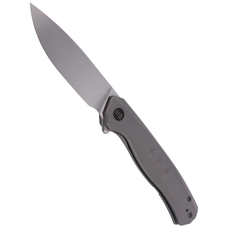 Nóż WE Knife Seer LE No 130/420 Gray Titanium, Rubbed Silver (WE20015-3)