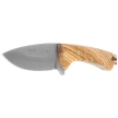 Nóż Muela Colibri COL-9.OL Olive Wood, Satin X50CrMoV15