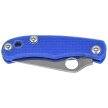 Spyderco Bug Knife Blue G10, Satin 12C27 (C133GBLP)