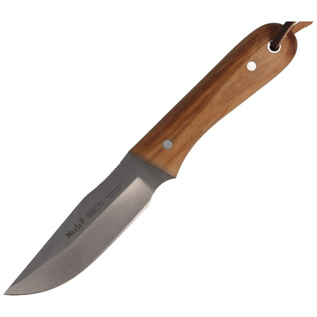 Muela Bison-9.OL Olive Wood Knife, Satin X50CrMoV15