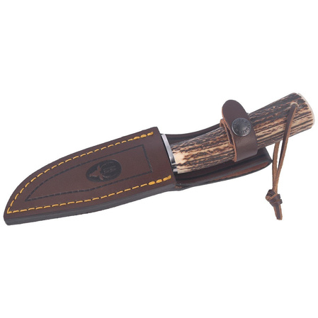 Muela Braco-11A Deer Stag Knife, Satin X50CrMoV15