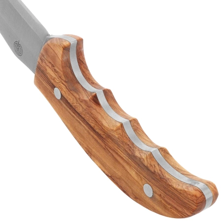 Nóż Muela Outdoor-12.OL Olive Wood, Satin X50CrMoV15