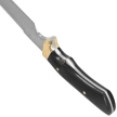 Nóż Muela Corzo-22 Beech Wood, Satin X50CrMoV15