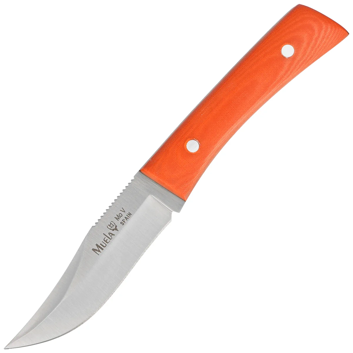 Nóż Muela BWE-8.O Orange Canvas Micarta, Satin X50CrMoV15