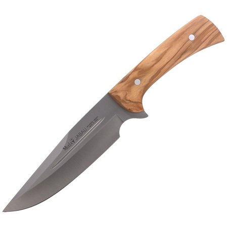 Nóż Muela Full Tang Olive Wood, Satin X50CrMoV15 (JABALI-17OL)